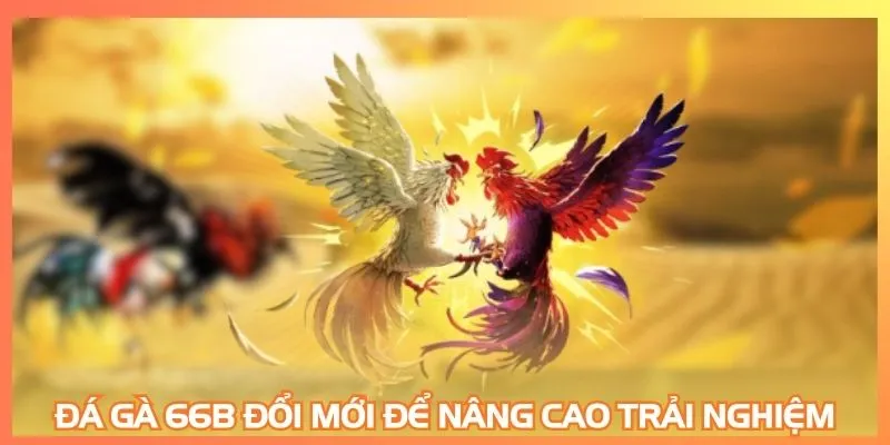 Đá gà 66B đổi mới để nâng cao trải nghiệm