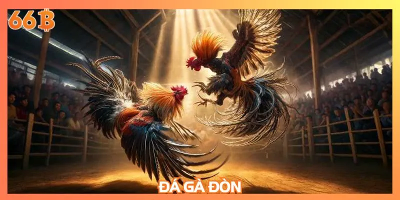 Đá gà đòn