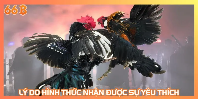 Lý do hình thức nhận được sự yêu thích, theo dõi lớn